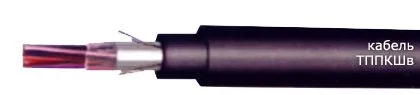Кабель ТППКШв 10х2х0,64