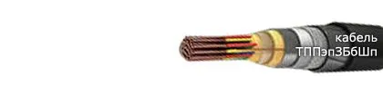 Кабель ТППэпЗБбШп 600х2х0,5-200
