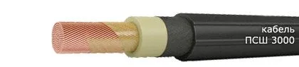 Кабель ПСШ 3000 10